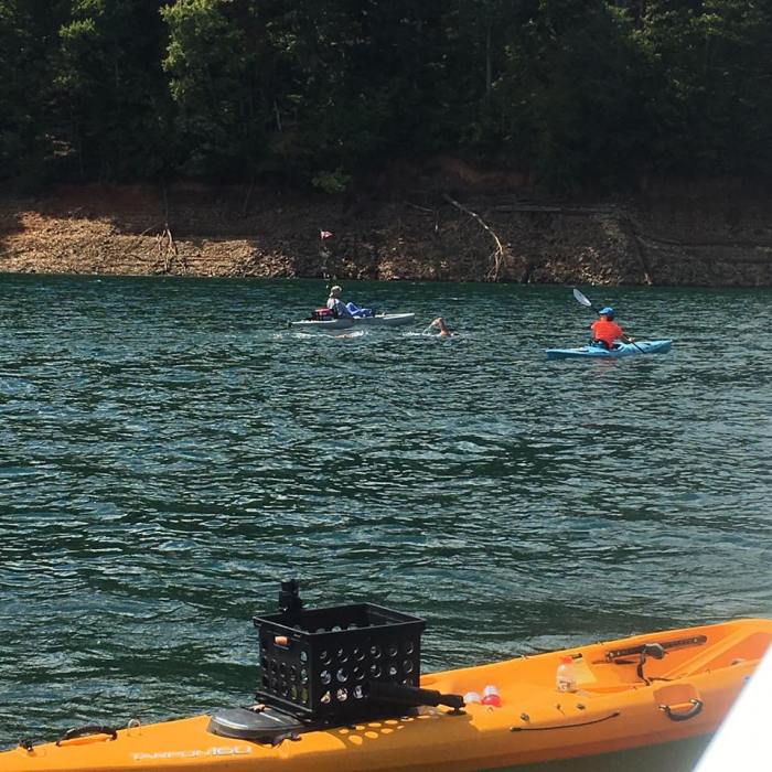 that-dam-swim-2016-6