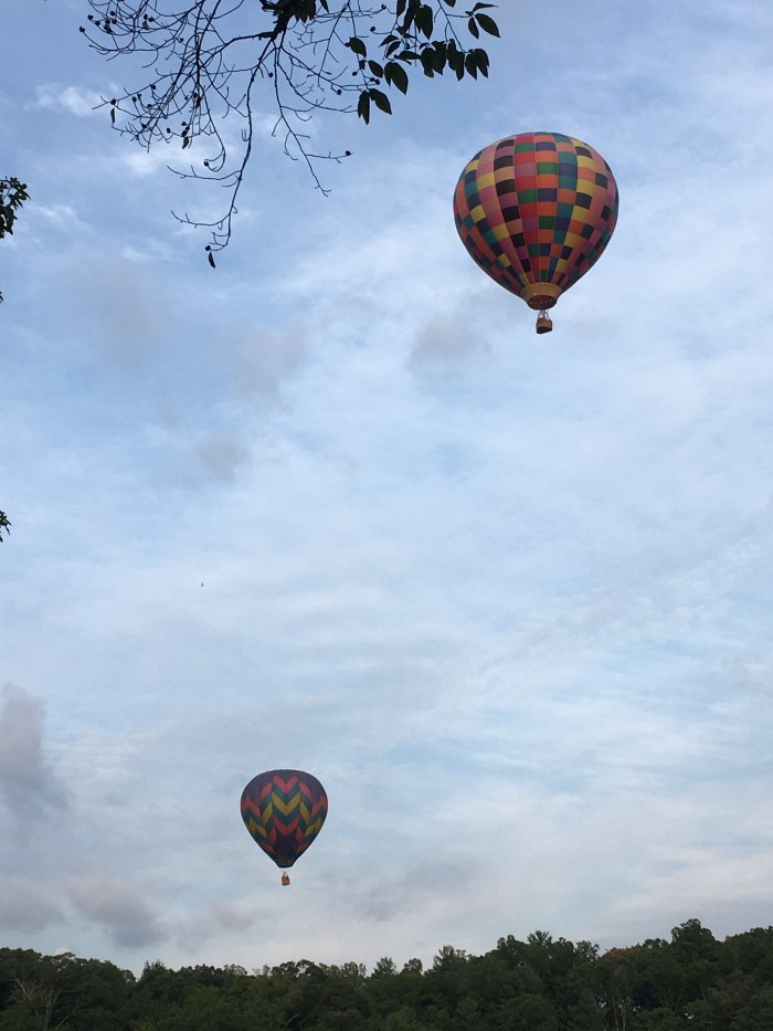 A11C801C-588F-414D-9F5F-C723D46811E4